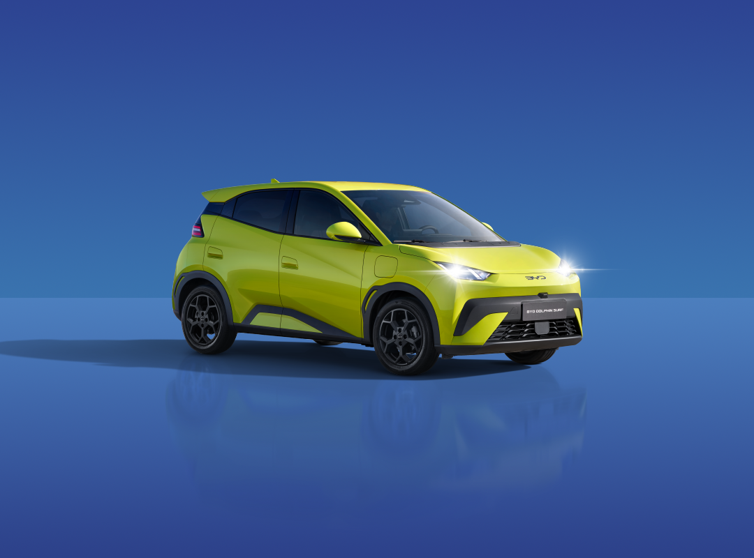 尊龙凯时 DOLPHIN SURF